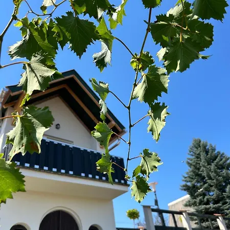 Panorama Kishaz Appartement Tarján