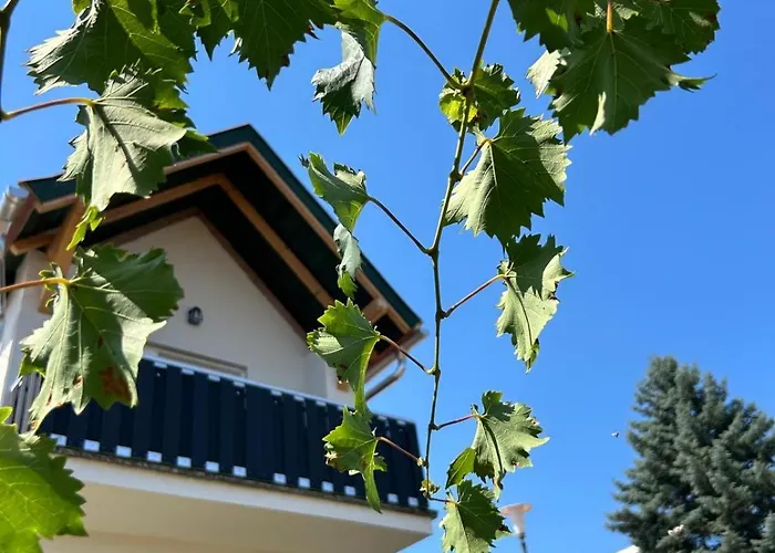 Panorama Kishaz Apartament Tarján